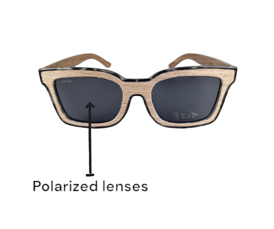 renza deuce polarized lenses